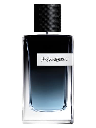 YSL YSL Y EDP
